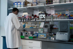 Leading Translational Research in Complement-Mediated Disease